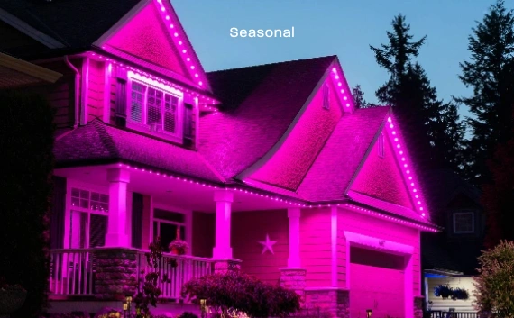 Holiday & Seasonal Lighting